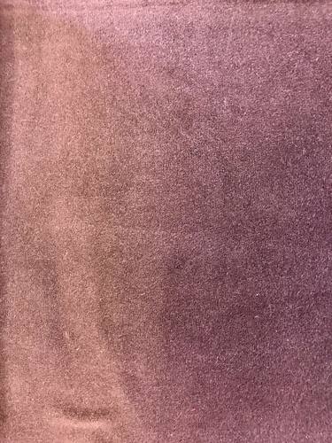 Sample Swatch for Premium Velvet Cocoa M7 Fabric by Prestige